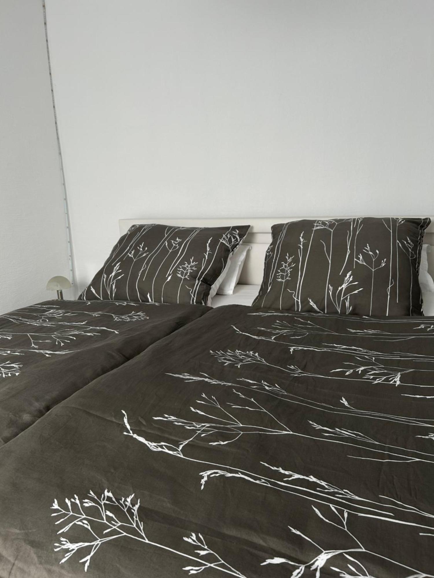 Ferienwohnung Zur Wildkatze ハレンベルク エクステリア 写真